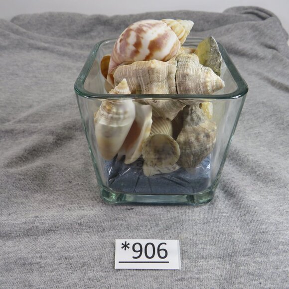 REAL Sea Shells in a Glass Square Vase and sand #13 - Picture 3 of 7